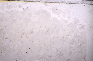 Plane Polarized, E44811