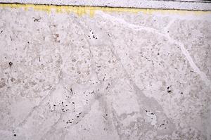 Plane Polarized, E44812