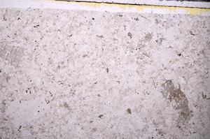 Plane Polarized, E44813
