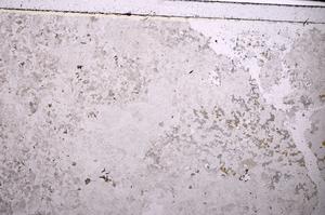 Plane Polarized, E44814