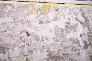 Plane Polarized, E44815