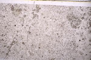 Plane Polarized, E44825/B