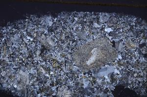 Cross Polarized, E44829