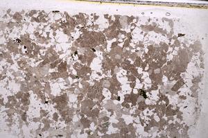 Plane Polarized, E44840/C