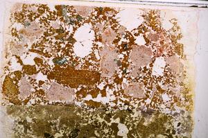 Plane Polarized, E44848/C