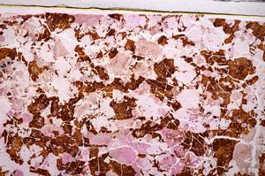 Plane Polarized, E44852/A