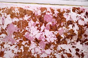 Plane Polarized, E44852/B