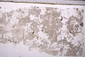 Plane Polarized, E44857/C