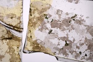 Plane Polarized, E44860/A