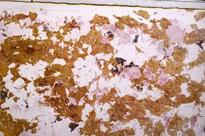 Plane Polarized, E44860/C