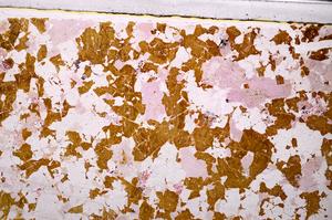 Plane Polarized, E44861/B