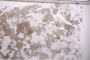 Plane Polarized, E44861/D