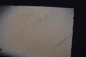 Cross Polarized, E44865