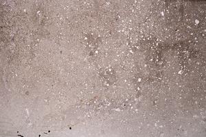 Plane Polarized, E44887