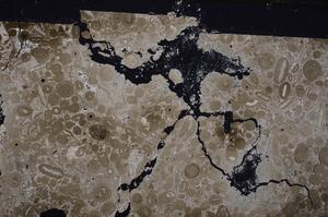 Cross Polarized, E45075