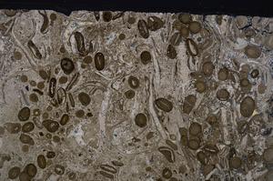 Cross Polarized, E45085