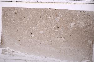 Plane Polarized, E45224