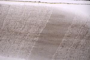 Plane Polarized, E45250/A