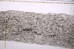 Plane Polarized, E45251