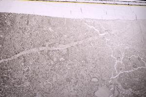 Plane Polarized, E45265