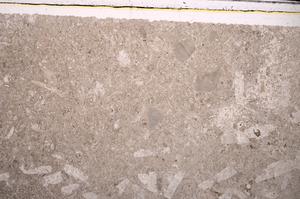 Plane Polarized, E45285