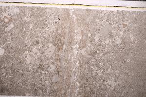 Plane Polarized, E45286