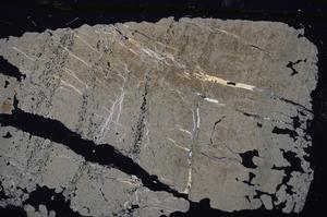 Cross Polarized, E45362