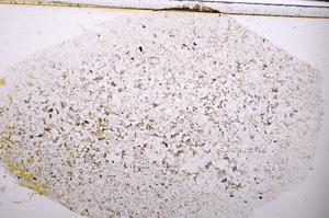Plane Polarized, E45377