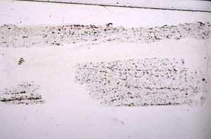 Plane Polarized, E45380