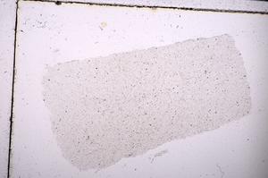 Plane Polarized, E45381