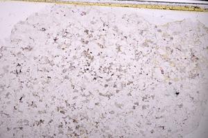 Plane Polarized, E45387