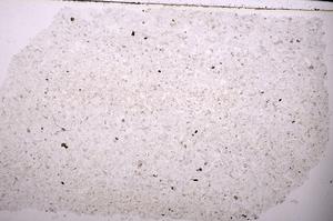 Plane Polarized, E45394