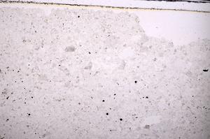 Plane Polarized, E45404