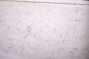 Plane Polarized, E45405