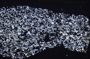 Cross Polarized, E45406