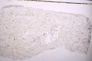 Plane Polarized, E45406