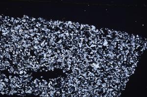 Cross Polarized, E45408