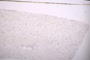 Plane Polarized, E45408