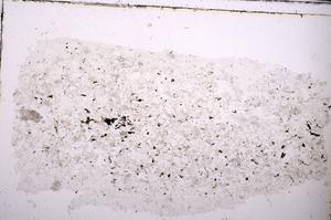 Plane Polarized, E45409