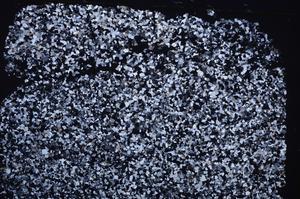 Cross Polarized, E45410