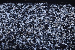 Cross Polarized, E45411