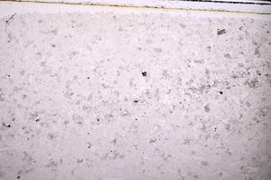 Plane Polarized, E45411