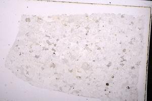 Plane Polarized, E45413