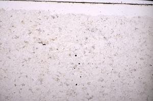 Plane Polarized, E45415