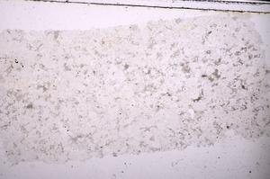 Plane Polarized, E45417