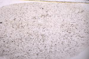 Plane Polarized, E45418