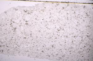 Plane Polarized, E45420