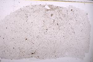 Plane Polarized, E45422