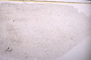 Plane Polarized, E45423