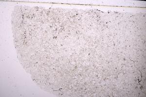 Plane Polarized, E45425